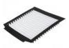 Cabin Air Filter:BTR8037