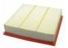 Air Filter:1109013-B02