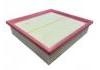 Air Filter:1109160QC01P