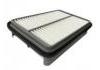 Air Filter:17801-35020