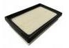 Air Filter:17801-21060